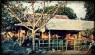 Hendras Warung. As famílias locais tomam conta dos Warungs na beira da praia, servindo ótima comida indonesiana e sempre com uma vibe muito boa. Pele é o dono da Hendras, ele tem dois filhos, Idia e Hendra. Os Warungs em Desert Point estão lá há somente uns cinco anos, antes disso a estadia era muito mais difícil, tendo-se que acampar e trazer seus próprios suprimentos.