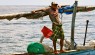 Um pescador local voltando pra casa de manhã, após a noite de trabalho, tira uma hora para assistir aos surfistas.