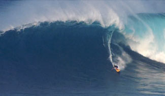 Alex Gray