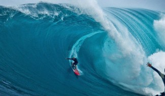 Jaws
