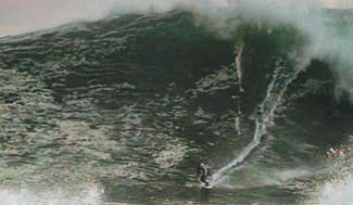 Kelly Slater Kelly Slater