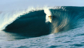 Andy Irons