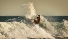 Alex Chacon