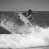 Otis Carey em: Kill The Matador