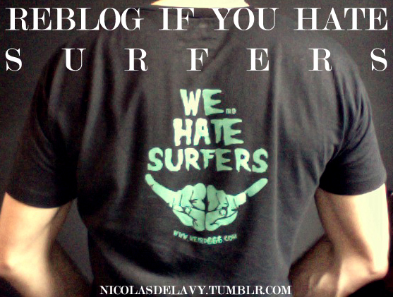 Camiseta-We-hate-surfers