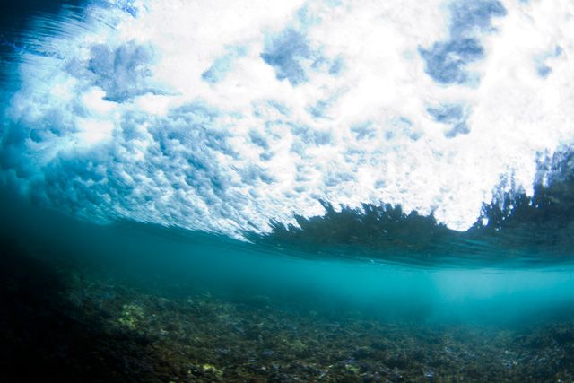 Bancada de corais em Haleiwa. Foto: Cestari / ASP